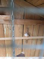 Gezocht zebravink (Miep), Dieren en Toebehoren, Vogels | Overige Vogels, Vrouwelijk