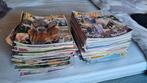 Grote verzameling Pennys, Meerdere comics, Ophalen, Gelezen, Europa
