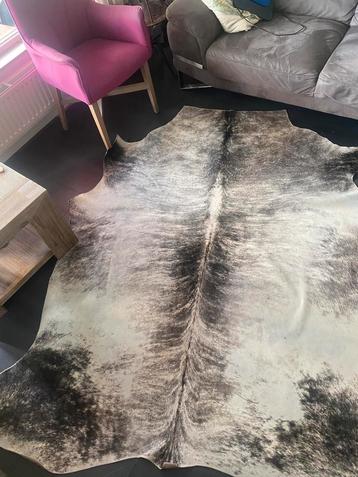 Nguni koeien huid beschikbaar voor biedingen