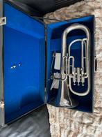 Kleine Tuba met Koffer - Paar Deukjes, Muziek en Instrumenten, Blaasinstrumenten | Overige, Ophalen of Verzenden, Gebruikt, Koperblazer