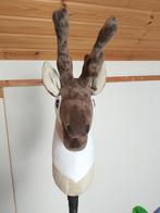 Mooie (hobbyhorse) rendier te koop, Ophalen of Verzenden, Nieuw, Overige typen