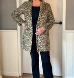 Te koop: nette jas van Mango (mt M/L), Ophalen, Zo goed als nieuw, Maat 36 (S), Zwart