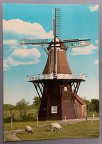 Hazerswoude, Rhijnenburchermolen, Verzamelen, Ansichtkaarten | Nederland, Ophalen of Verzenden, Ongelopen, Zuid-Holland