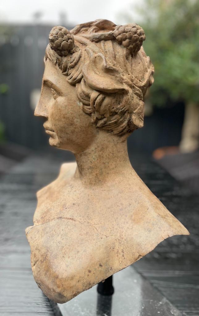 Bronzen buste dameshoofd prachtige patine zuiver fraai brons, Antiek en Kunst, Kunst | Beelden en Houtsnijwerken, Ophalen of Verzenden