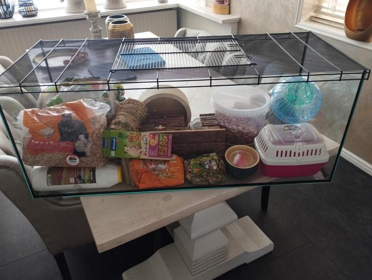 Te koop zgan nieuwe nog geen 1/2 jaar oude knaagdier kooi, Dieren en Toebehoren, Knaagdieren en Konijnen | Hokken en Kooien, Zo goed als nieuw