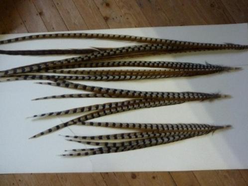 Opruiming de laatste 3 stuks 130 cm koningsfazant reeves, Hobby en Vrije tijd, Feestartikelen, Nieuw, Ophalen of Verzenden