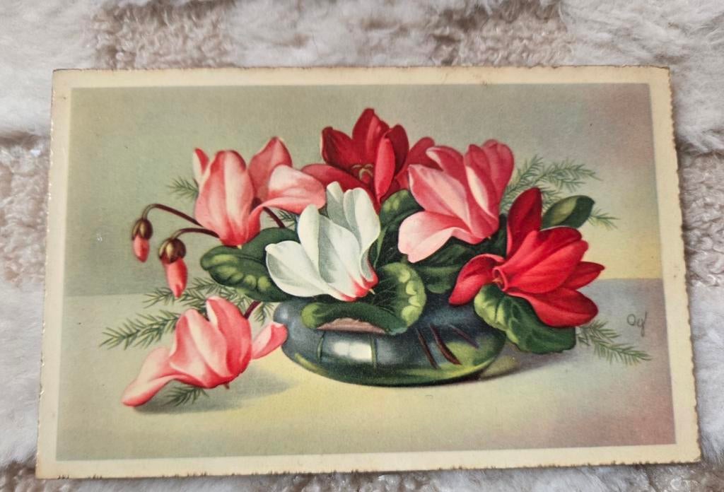 Cyclamen in een groene schaal, Verzamelen, Ansichtkaarten | Themakaarten, Ongelopen, Voor 1920, Overige thema's, Verzenden