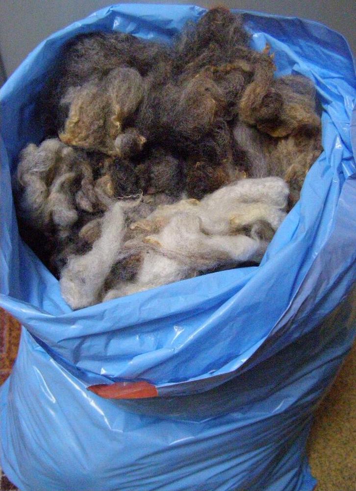 gewassen schapenwol wol vulwol vilten hooimadam spinnewiel, Hobby en Vrije tijd, Spinnewielen en Spinnen, Nieuw, Spinwol, Ophalen of Verzenden