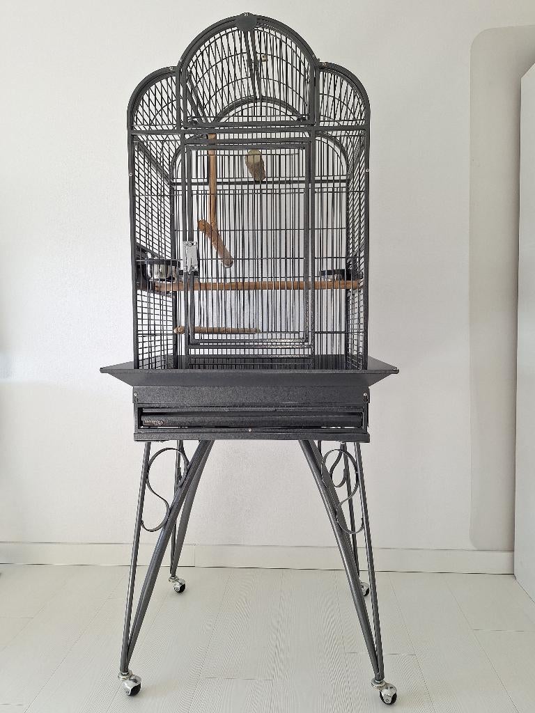 Vogelkooi, Ophalen, Zo goed als nieuw, Metaal, Vogelkooi