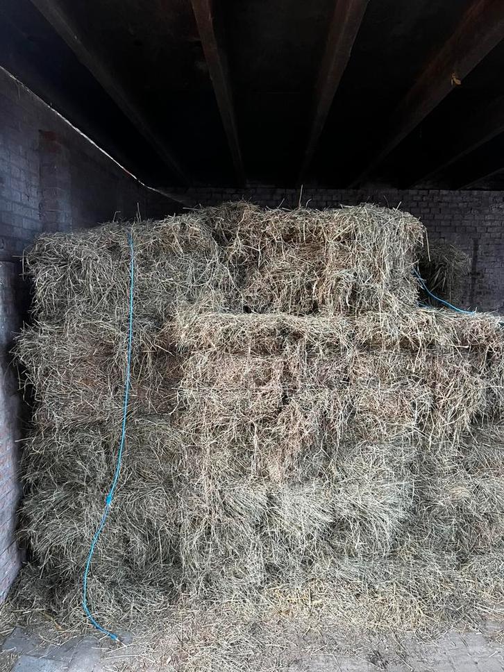 Geabalyseerd hooi te koop, Dieren en Toebehoren, Dierenvoeding, Vee, Ophalen of Verzenden