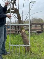 Grelinette woelvork, Ophalen of Verzenden, Gebruikt, Overige soorten