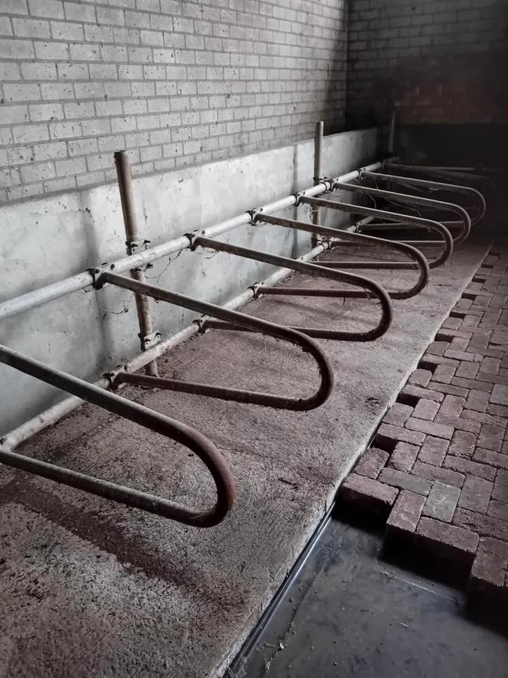 zwevende ligboxen  koeien en jongvee, Dieren en Toebehoren, Overige Dieren, Meerdere dieren, Maart