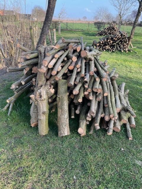 openhaardhout, Tuin en Terras, Haardhout, Takken, Overige houtsoorten, 6 m³ of meer, Ophalen