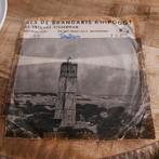 Nelis roos / als de brandaris knipoogt, Ophalen of Verzenden, Zo goed als nieuw, Nederlandstalig