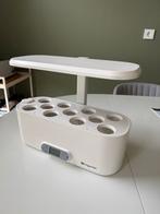 Veggietable voor eigen kruiden groeien, Tuin en Terras, Kweekspullen, Ophalen of Verzenden, Gebruikt, Kweektafel