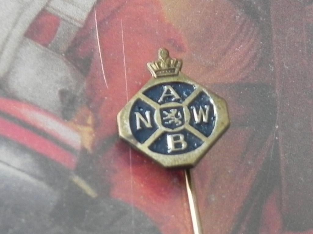 A.N.W.B. speldje, Ophalen of Verzenden, Gebruikt, Merk, Speldje of Pin