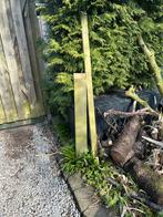Gratis Tuinhout - Palen en Planken, Ophalen of Verzenden, Gebruikt, 250 cm of meer, Palen