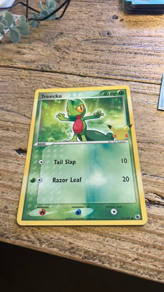 Treecko grote kaart, Ophalen of Verzenden, Zo goed als nieuw