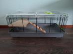 Hamsterhok, Dieren en Toebehoren, Knaagdieren en Konijnen | Hokken en Kooien, Kooi, Minder dan 75 cm, Chinchilla, Ophalen