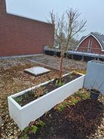 Planten bakken en planten/struiken/bomen, Ophalen of Verzenden, Rond