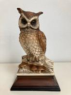 Porseleinen beeldje van een ransuil - 18 cm, Ophalen of Verzenden, Zo goed als nieuw, Dier