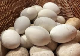 Mooie ganzeneieren, Ophalen, Zo goed als nieuw