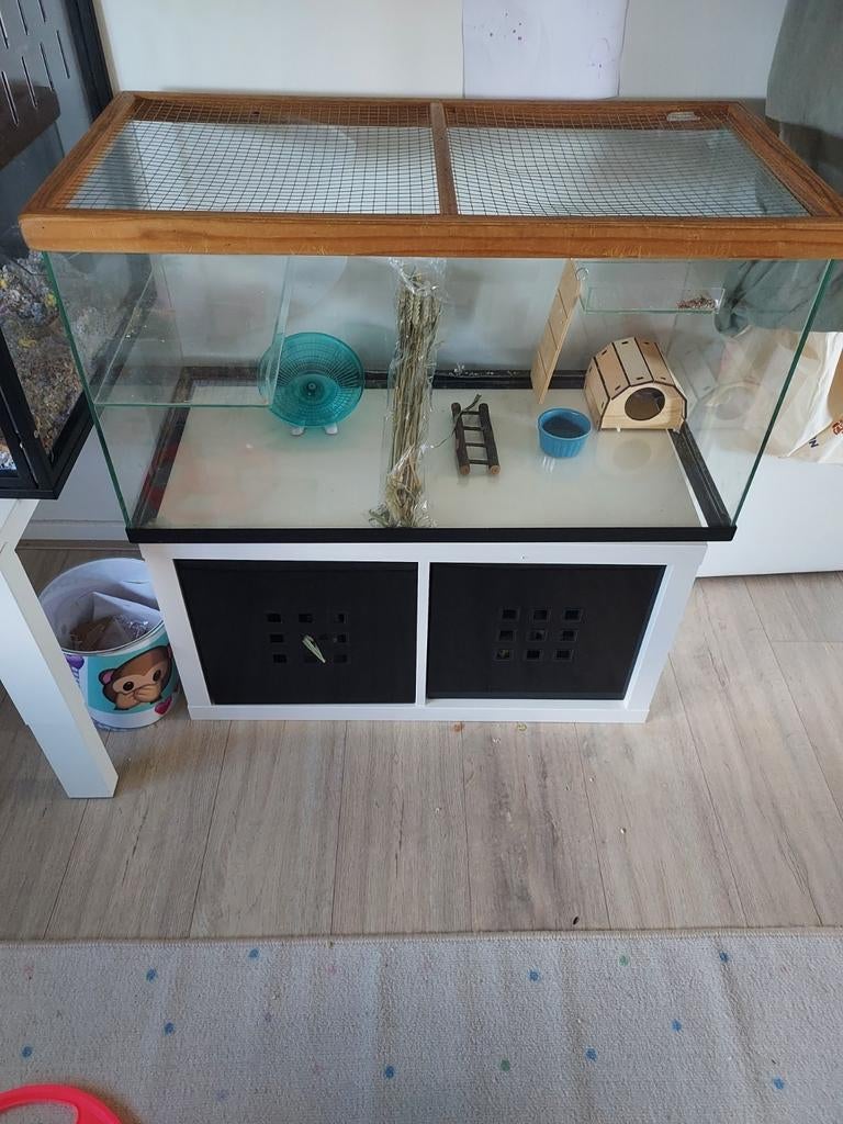 Mooie glazen kooi, Kooi, Zo goed als nieuw, 75 tot 110 cm, Ophalen