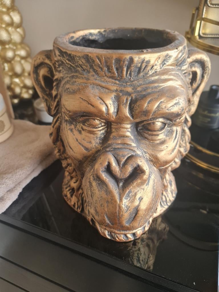 Apenkop pot NIEUW, Ophalen of Verzenden, Nieuw, Overige materialen