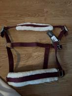 NIEUW! mooi halster van hkm wine red cob, Dieren en Toebehoren, Ophalen of Verzenden, Zo goed als nieuw, Overige soorten