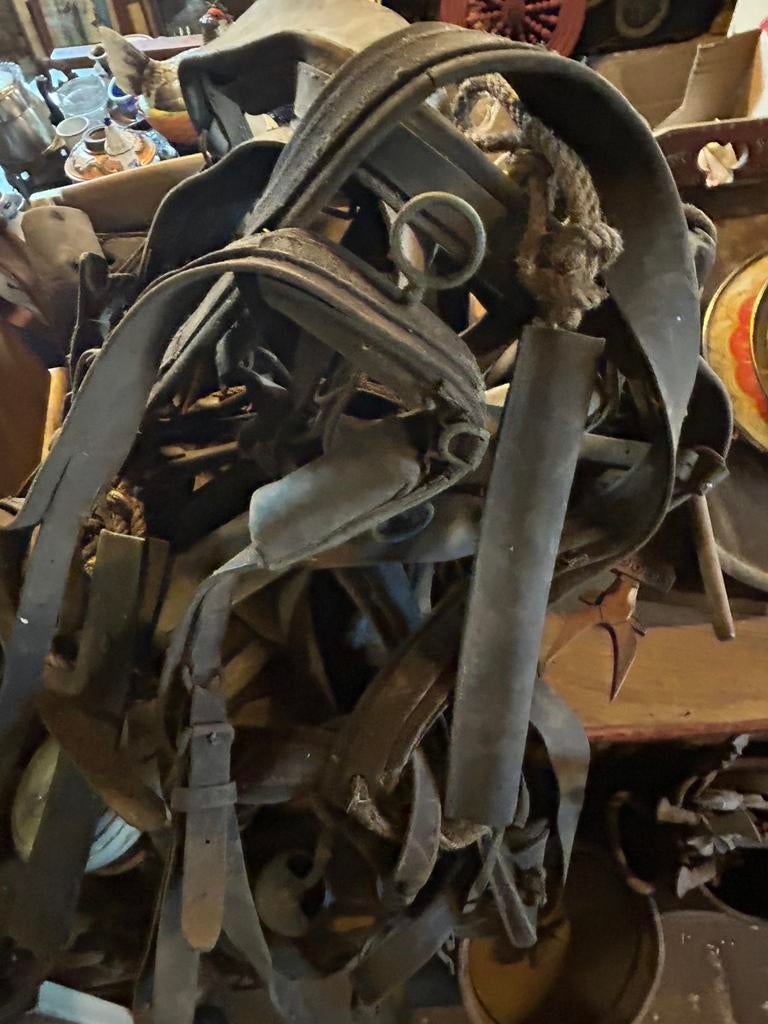 Divetse paarden tuigen, Ophalen, Gebruikt, Overige soorten