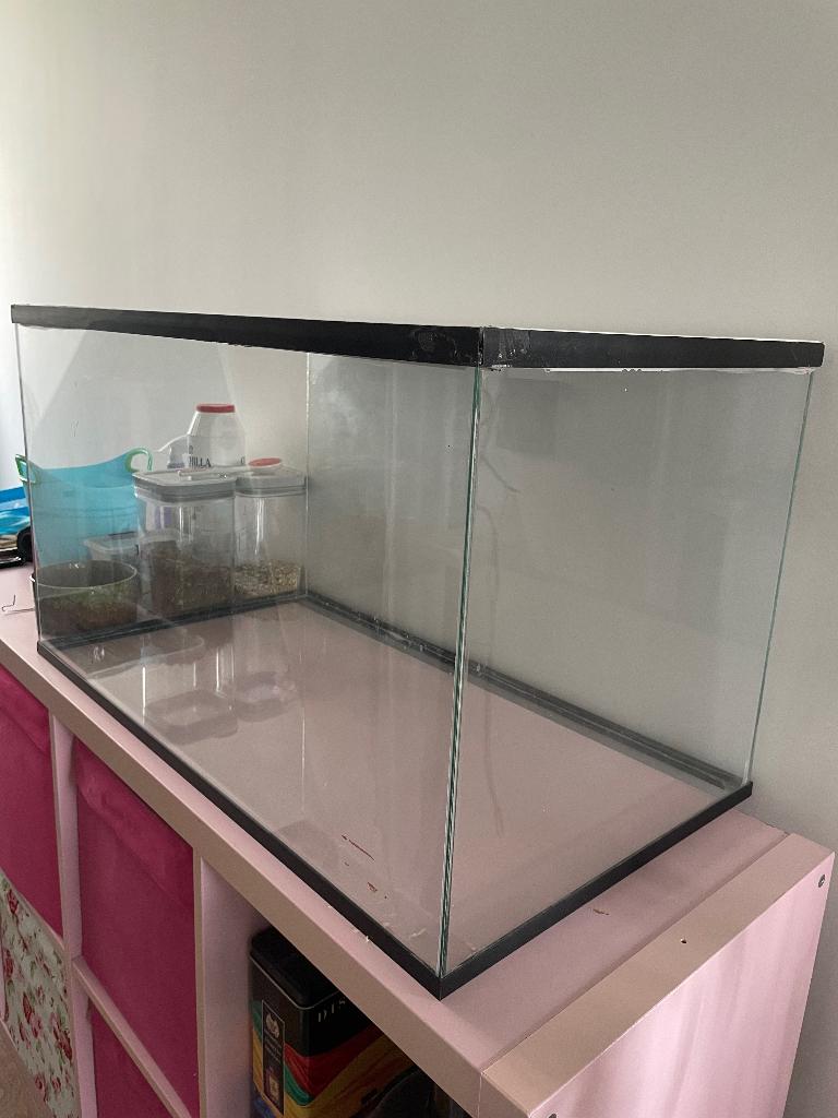 glazen hamsterhok met toebehoren, Minder dan 75 cm, Zo goed als nieuw, Ophalen, Minder dan 60 cm