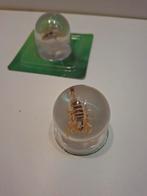 Schorpioen in kunsthars, Verzamelen, J.weel@jacoto.nl, Onbekend zie achterkant product, Nieuw, Ophalen of Verzenden