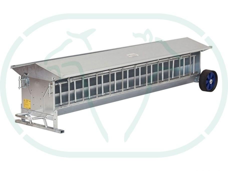 Creepfeeder, Dieren en Toebehoren, Schapen, Geiten en Varkens, Mannelijk, Schaap