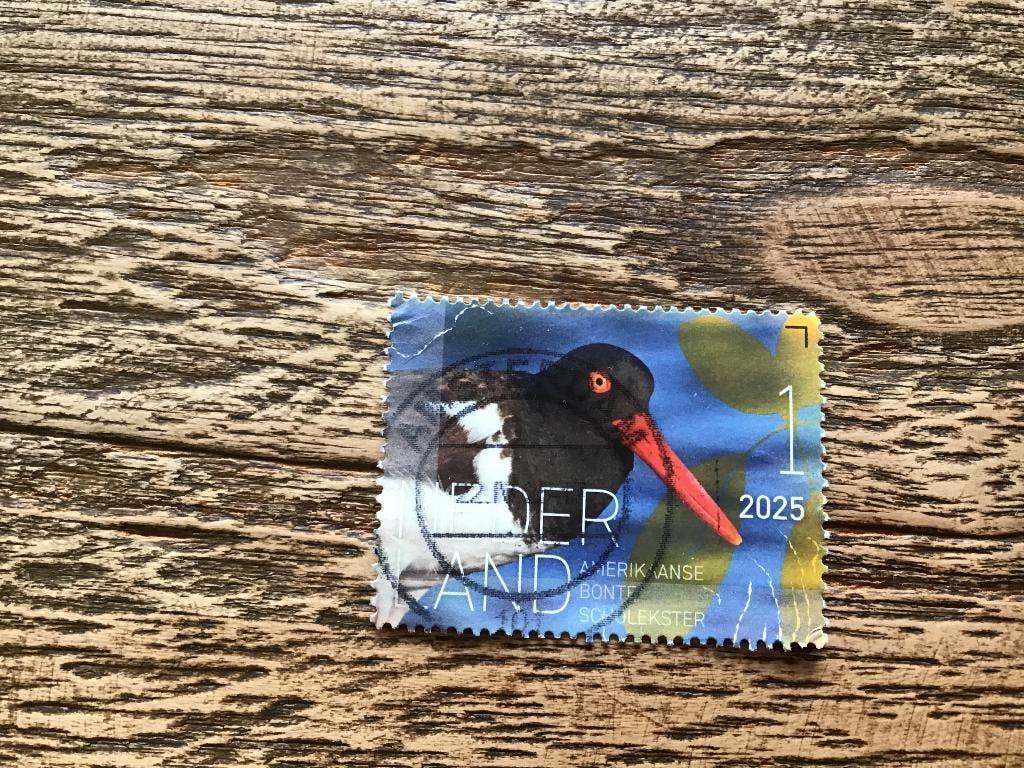 2025 Bonte Scholekster, Ophalen of Verzenden, Gestempeld