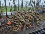 Stamhout, Kachelhout, 2x vracht +/- 14 m3 beschikbaar, 6 m³ of meer, Verzenden, Overige houtsoorten, Stammen