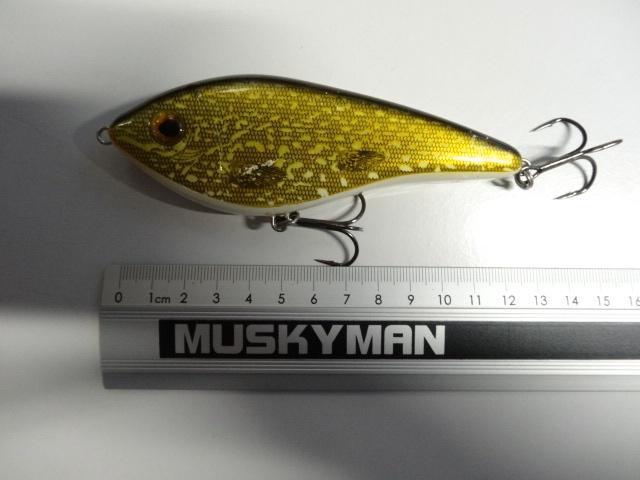 Kunstaas: Westin Swim 120 Sinking Jerkbaits, Watersport en Boten, Hengelsport | Roofvissen, Gebruikt, Overige typen, Verzenden