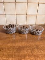 Vis en garnalenvoer, knoflooktabletten, Kreeft, Krab of Garnaal