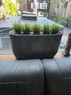 Pot en vazen, Ophalen, Overige kleuren, Aardewerk of Porselein, Zo goed als nieuw