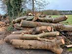 Brandhout Essen, 6 m³ of meer, Ophalen, Essenhout, Stammen