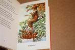 Bloemenkinderen van de herfst. Cicely Mary Barker., Boeken, Ophalen of Verzenden, Gelezen