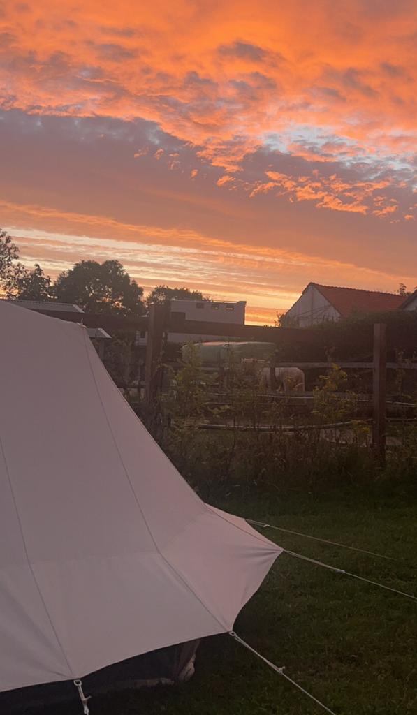 Gezocht! De Waard tent Jan van Gent gordijnen, Caravans en Kamperen, Ophalen of Verzenden, Gebruikt