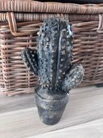 Stenen cactus, Ophalen, Zo goed als nieuw