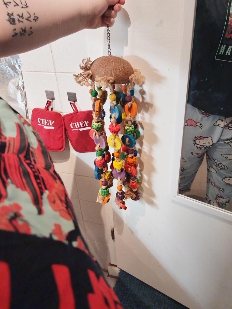 Papegaaien speelgoed, Meerdere dieren, Papegaai, Pratend