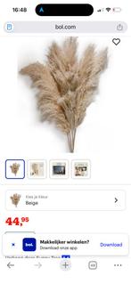 Pampas pluimen, Ophalen of Verzenden, Nieuw