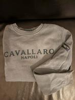 Cavallaro Napoli Trui Maat S, Ophalen of Verzenden, Gedragen, Maat 46 (S) of kleiner, Grijs