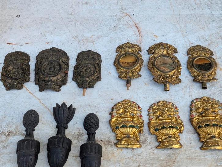 4 sier stukken staartklok. €80., Dieren en Toebehoren, Insecten en Spinnen