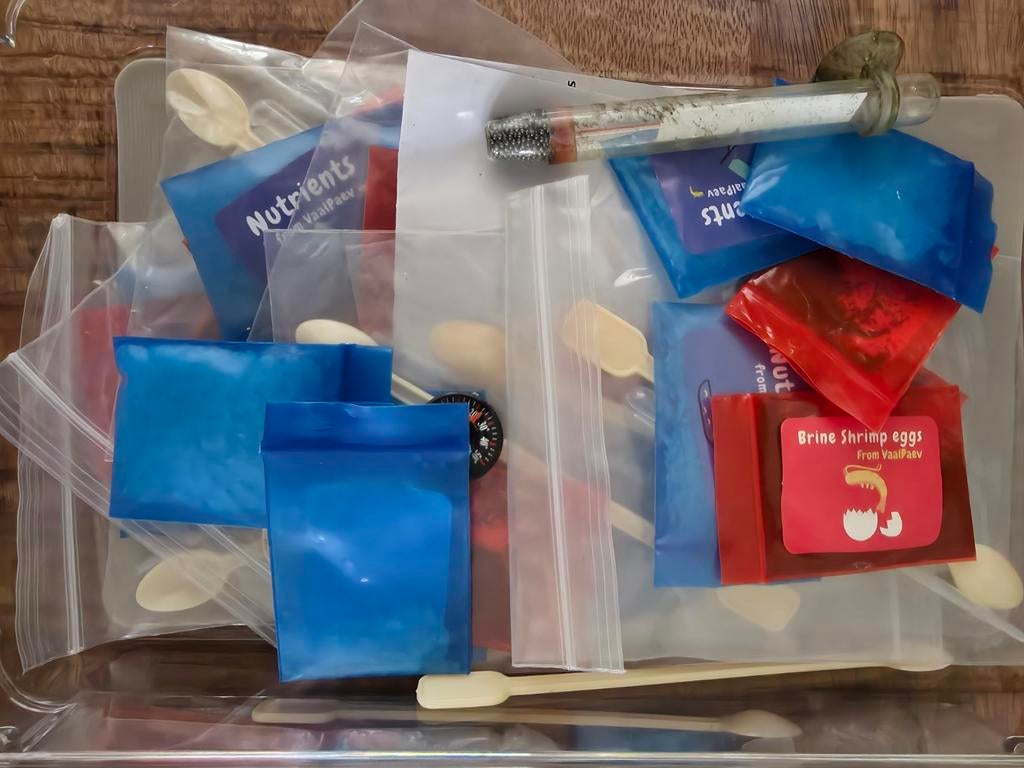 Artemia opkweek set compleet, Dieren en Toebehoren, Ophalen, Overige typen
