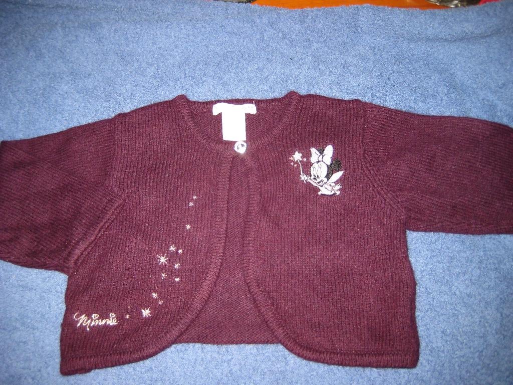 Paars vestje, 74, H+M DIsney, Kinderen en Baby's, Babykleding | Maat 74, Ophalen of Verzenden, Zo goed als nieuw, Meisje, Truitje of Vestje