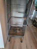 Mooie kooi, Dieren en Toebehoren, Meerdere dieren, Parkiet