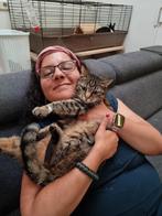 Zoekende naar een woning, Huizen en Kamers, Op zoek naar een huis